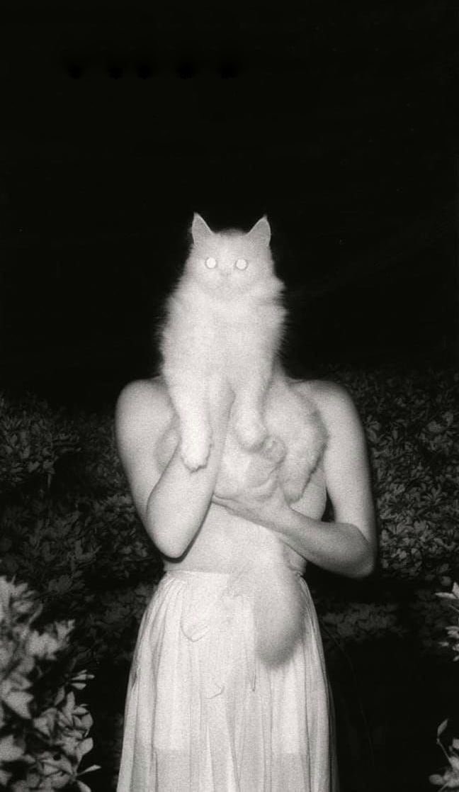 Farkında mısınız?Artık ortası yok ya teşhirciliği alkışlayacak ya da özgürlük düşmanlarının safında olacaksınız.Ben griyim ,kendime kıyafet bile bulamıyorum ya hep ya hiç tarzına büründü ülke.Kadınlar özgürdür,ama bu özgürlük neredeyse #çıplak gezip kadını ucuzlaştırmak değildir.