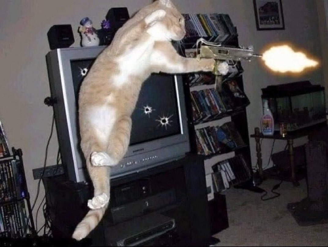 When the jeets are out of control extreme measures must be taken.