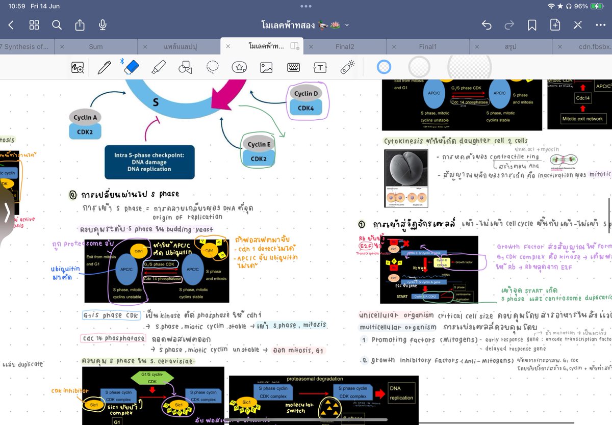 แพแพ ( log out ) tweet media