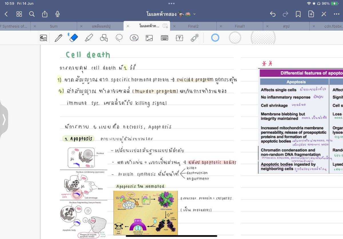 แพแพ ( log out ) tweet media