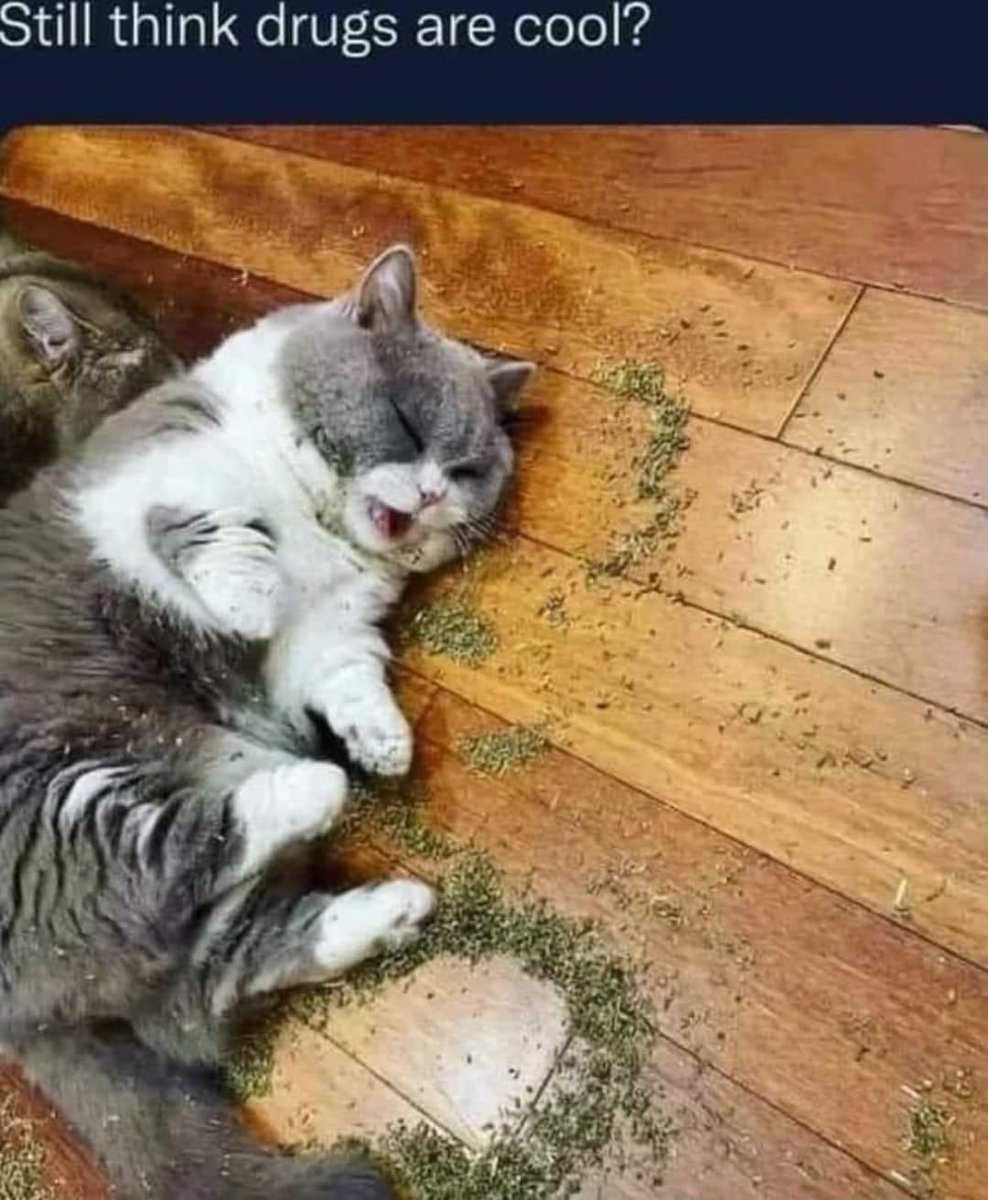 place where car shouldnt be (@carshouldnt) on Twitter photo 