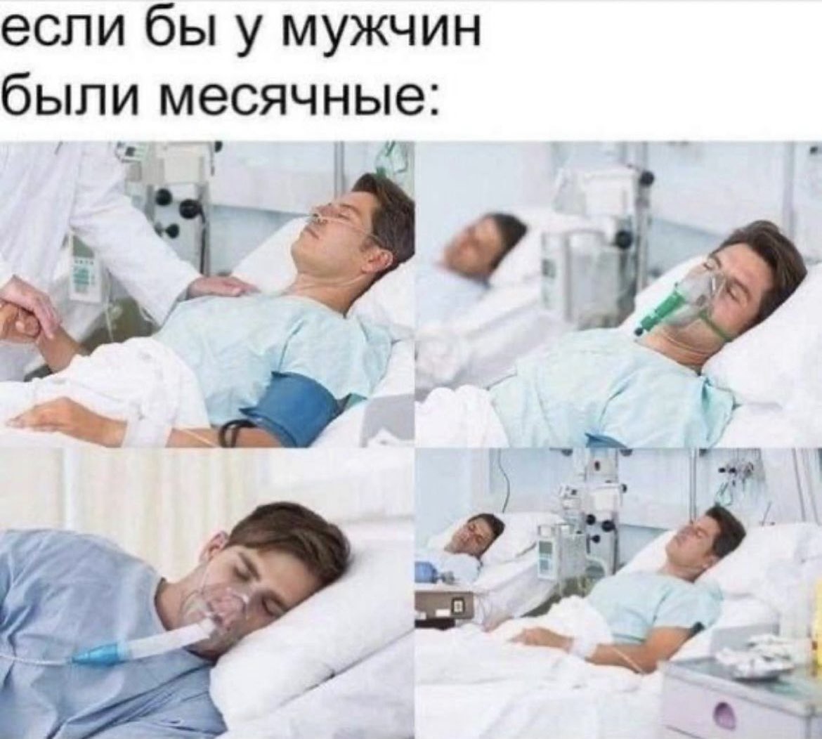 Даша Птичка 🐦‍⬛ tweet media