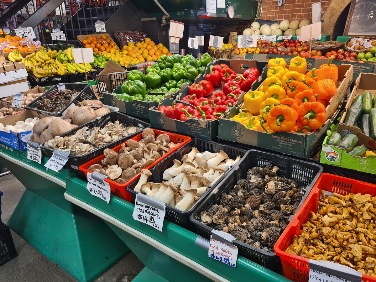 Brittany J Johnson tweet media