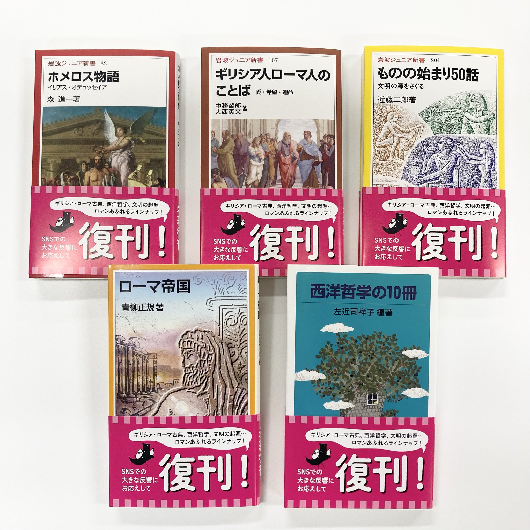 岩波ジュニア新書　27冊 91DyybmbSeL._UF350,350_QL50_.jpg