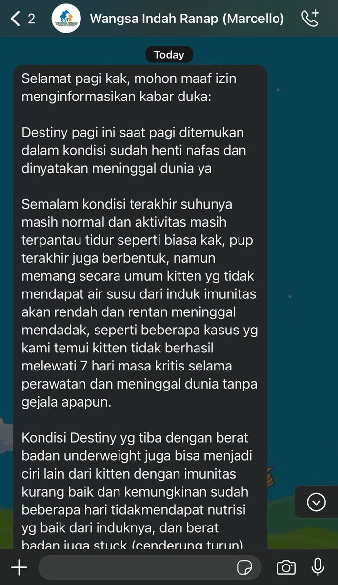medyrenaldy_'s tweet photo. Rasanya terlalu lemas untuk ngasih update ini, pagi ini dikabarkan Destiny sudah tidak bernyawa. https://t.co/dsnNS01vaI