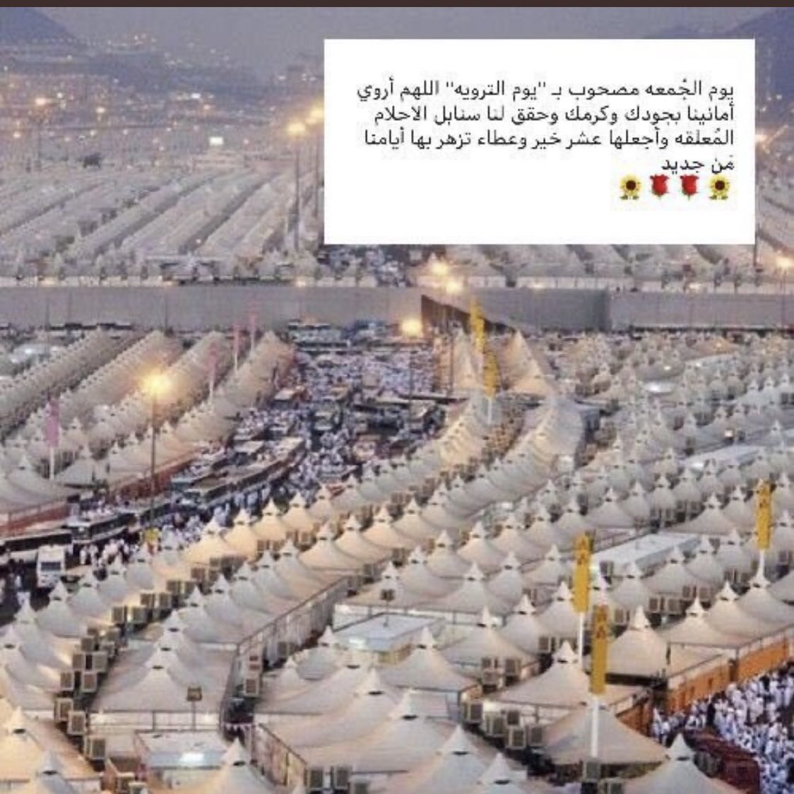 #يوم_الترويه يارب عافية تروي عروق المُتعبين ورَحمة لمن استوقفت بهُم الحياة."

.. 
تجتمع اليوم ثلاث دعوات مستجابه بأذن الله
 دعوة يوم             #الترويه 
ودعوة يوم            #الجمعه

ودعوة صائم ..فاغتنموها في الدعاء .

..
#صباحكم طمأنينة ودعاء مستجاب من ربٍّ 
كريم  🤲☀️❤️