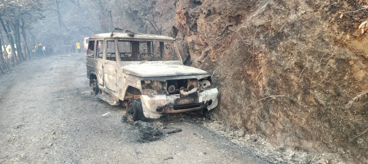 Parveen Kaswan, IFS tweet media