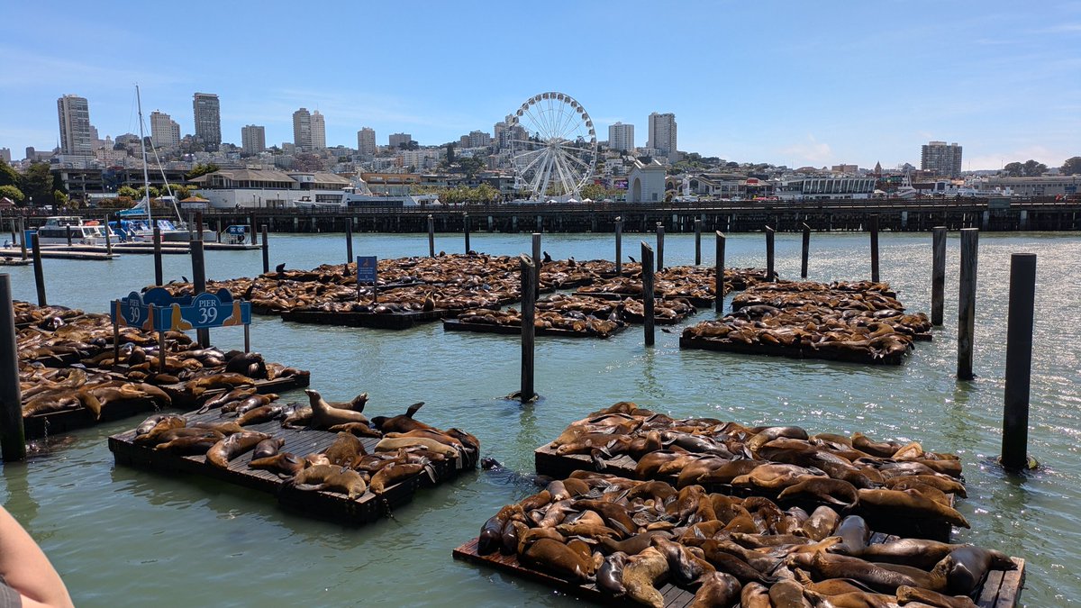 Somewhere in San Francisco
