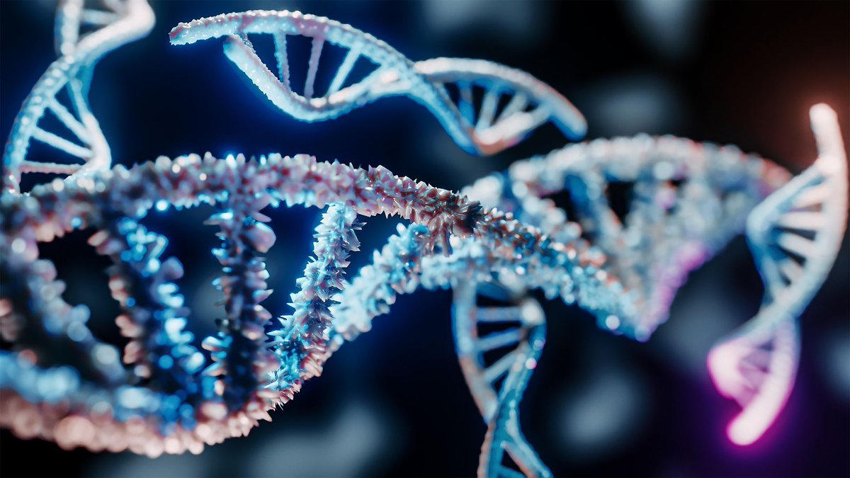 CurieuxExplorer's tweet image. New DNA sequencing detects early genetic changes, can aid cancer treatment.

🔗 buff.ly/4bWVgE1 

@Shi4Tech @IrmaRaste @sallyeaves @HeinzVHoenen @FrRonconi @Nicochan33 @PawlowskiMario @gvalan @bimedotcom @TanyaSinha_

#DNASequencing #GeneticResearch #CancerTreatment