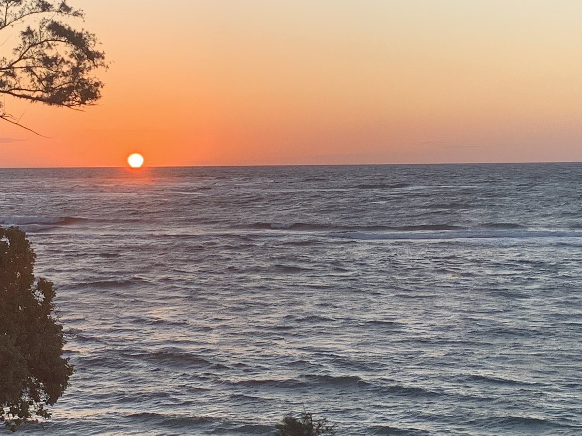 richorstad18's tweet image. All good things must come to an end but will hold onto these memories forever. Can’t wait to return to our second home and will live vicariously through others until we come back. Thank you, Kauai and Maui. 🙏🌺

Meanwhile, I did finish 3 books, 2 scripts, and 1 rewrite. #WriteOn