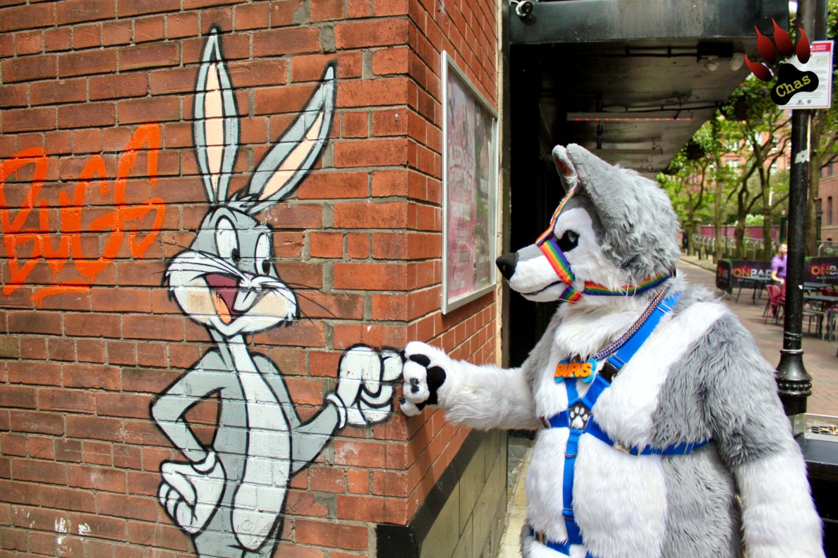 meeting a famous furry colleague in #Manchester

📷 <a href="/PupchasAD/">PupchasAD 🔜 GBUK/Folsom (Bluesky and Mastodon)</a>

#streetart #fursuit #fursuiter #fursuiteveryday