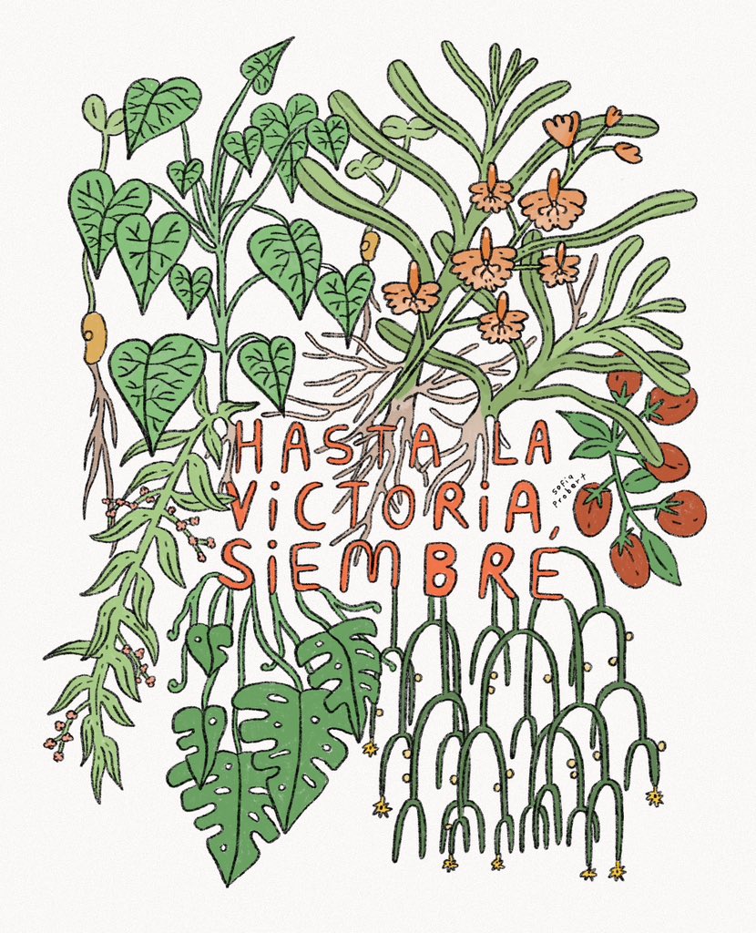 𓇗 fïa tweet media