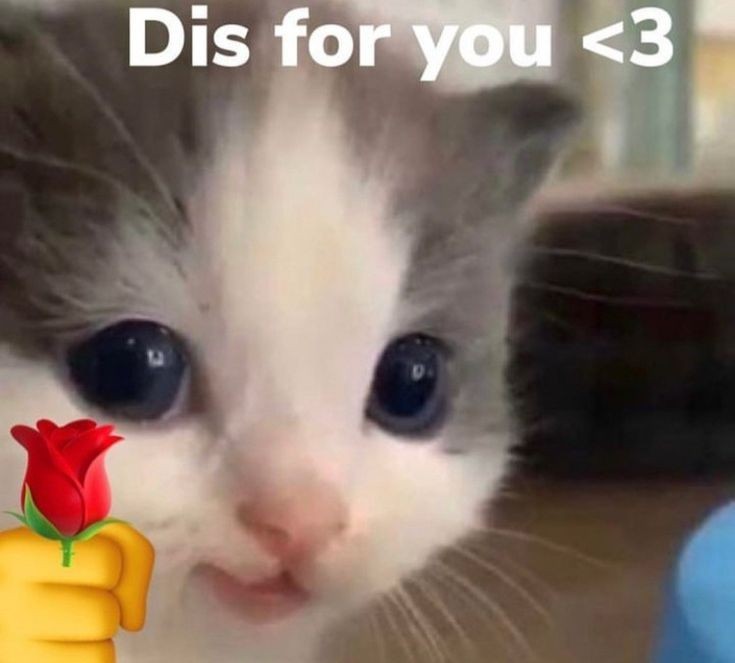 ⋆˚ jejenn˚⋆²⁵ tweet media