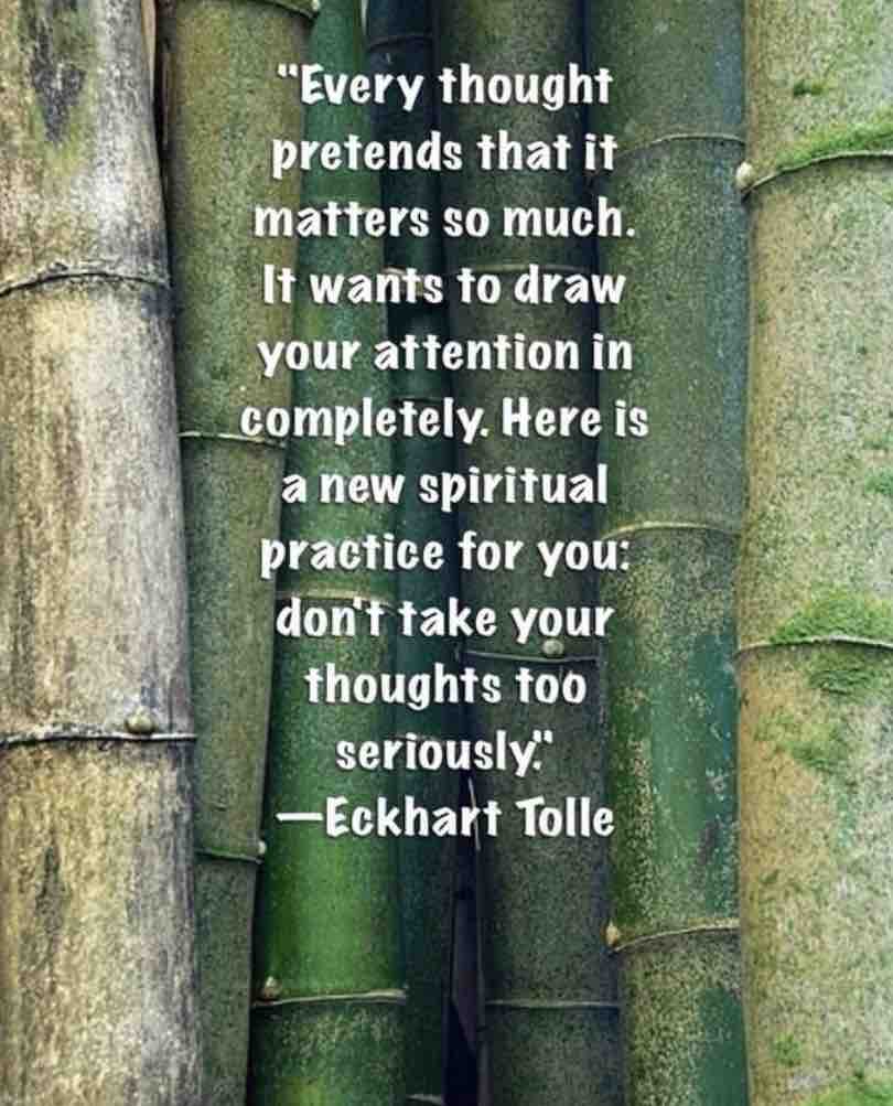 HighVibes365's tweet image. Be The Observer 

#BeTheObserver #ObserveAndLearn #AwarenessJourney #SeeTheWorld #ConsciousLiving