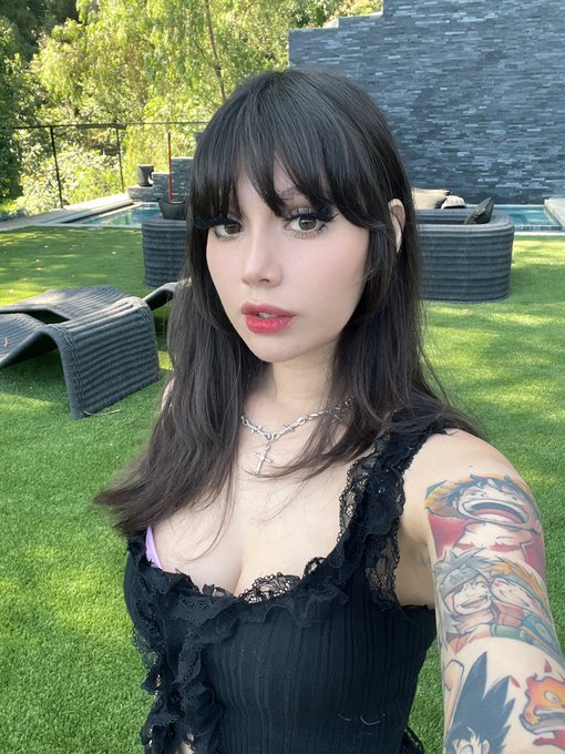 hi meow https://t.co/qAU53PqHRA