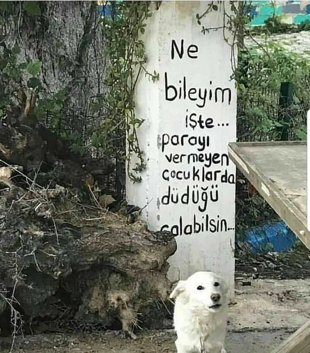 Fahri BOZGEYİK 🇹🇷 tweet media