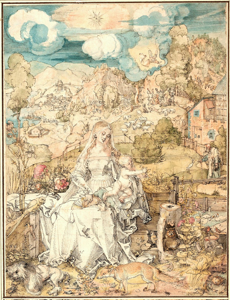 solas_na_greine's tweet photo. Albrecht Dürer - Mary among a Multitude of Animals, c. 1503 https://t.co/5FJ1eXPHW8