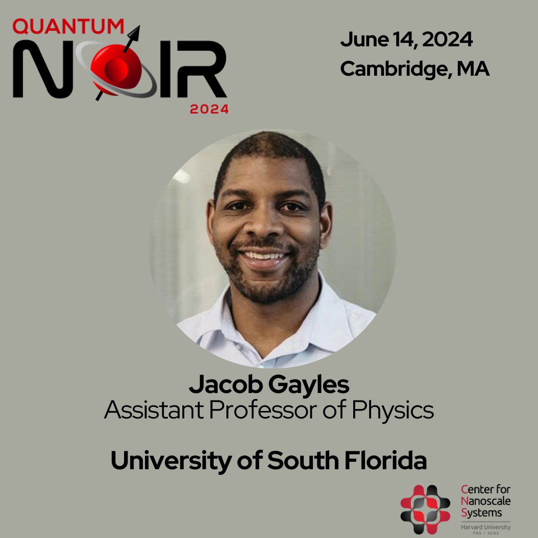 Quantum Noir tweet media