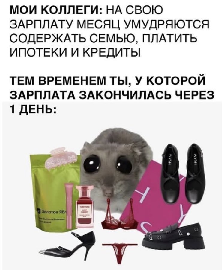 memesforwomen's tweet photo. https://t.co/MrIyXpQj5A