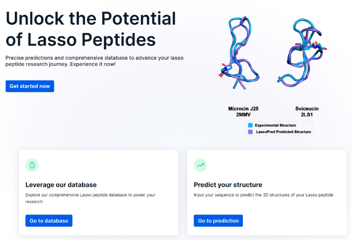 AlphaFold can't tell you the structure of lasso peptide, a major branch of RiPPs and promising antibiotics. Xingyu wasn't happy about it and decided to create LassoPred. Build your own lasso or download a predicted one: lassopred.accre.vanderbilt.edu. DOI: 10.26434/chemrxiv-2024-q3rn0