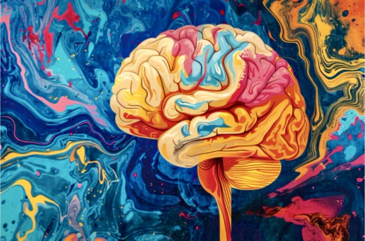 enilev's tweet photo. 🧠 How #Brain Maps #Memories Without Movement
Source: @MIT
#neurosciemce #Neurotech #HealthTech
👉https://t.co/ZOvgfK8JzF
@IanLJones98 @mvollmer1 @Nicochan33 @jblefevre60 @Khulood_Almani @efipm @SpirosMargaris @Shi4Tech @CurieuxExplorer @HaroldSinnott @NevilleGaunt @drsharwood @BetaMoroney @pierrepinna @labordeolivier @Revgigi @Fabriziobustama @FrRonconi @mikeflache @gvalan @PawlowskiMario @arukundo @ahier @Hana_ElSayyed @pettet50 @EvanKirstel @fogle_shane @bamitav @Sharleneisenia @Eli_Krumova @jeancayeux @RLDI_Lamy @sonu_monika @anand_narang @AndrewinContact @AkwyZ @Analytics_699 @dinisguarda @KanezaDiane @theomitsa @PerBBerggreen @LavaletteAstrid @TanyaSinha_ @joana_ut @AlbertoEMachado @baski_LA @GlenGilmore @JBarbosaPR @HeinzVHoenen
#seohashtag #SEO
#Neurotech #DigitalHealth 📸 #NeuroscienceNews