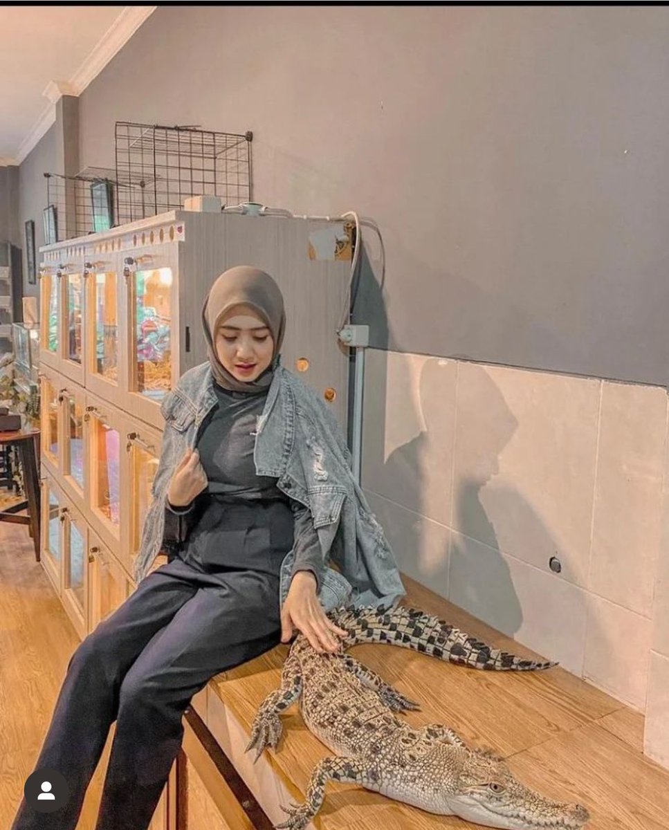the2ndlawlima's tweet photo. ervina mulya
#selebgram #hijabers #hijaberscantik #selebgramcantik #hijabsexy #hijabcantik https://t.co/x4paExMq7M