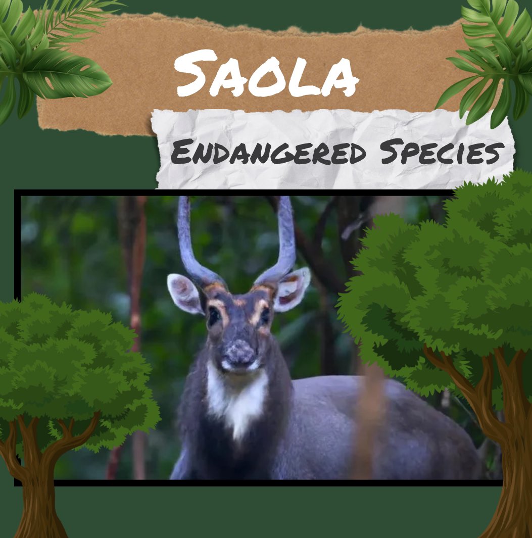 Becton Environmental Club tweet media