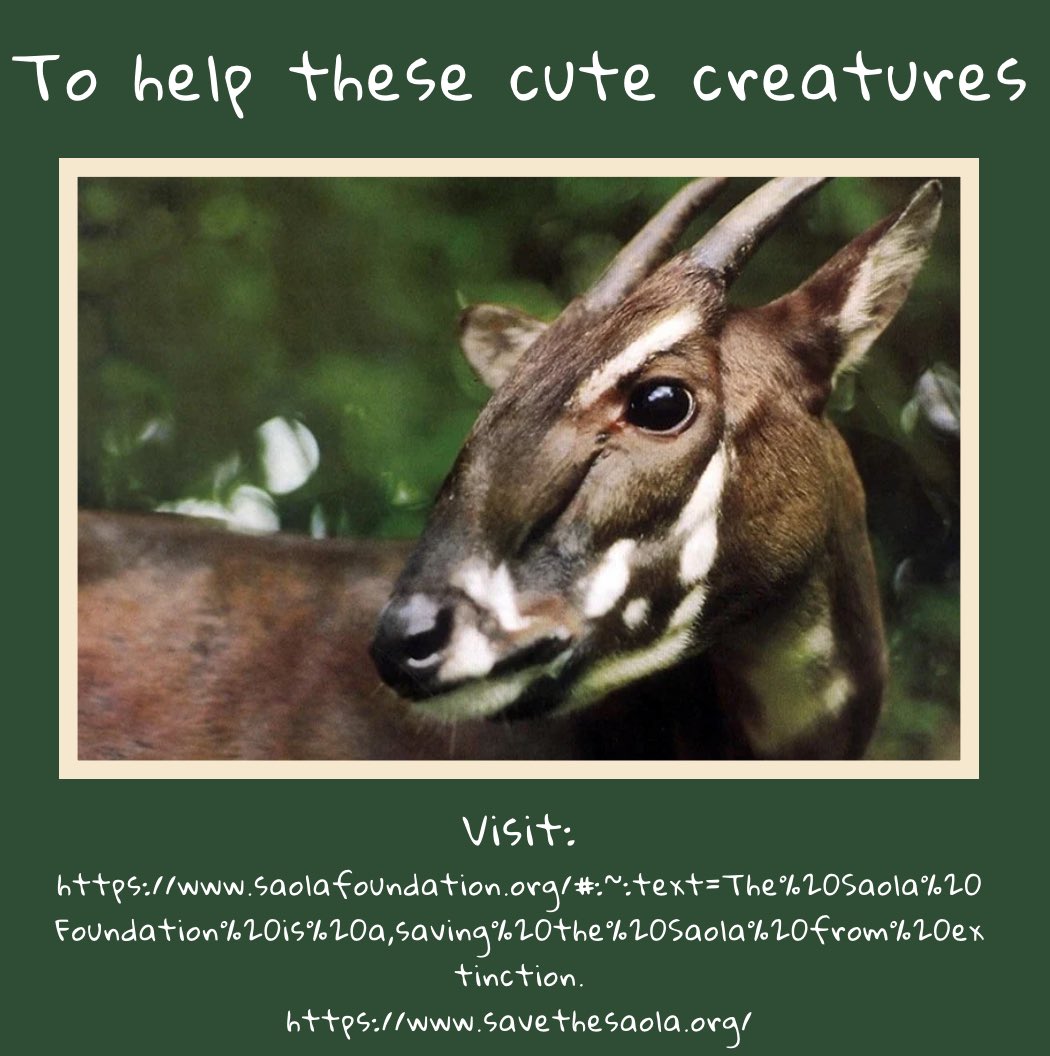 Becton Environmental Club tweet media