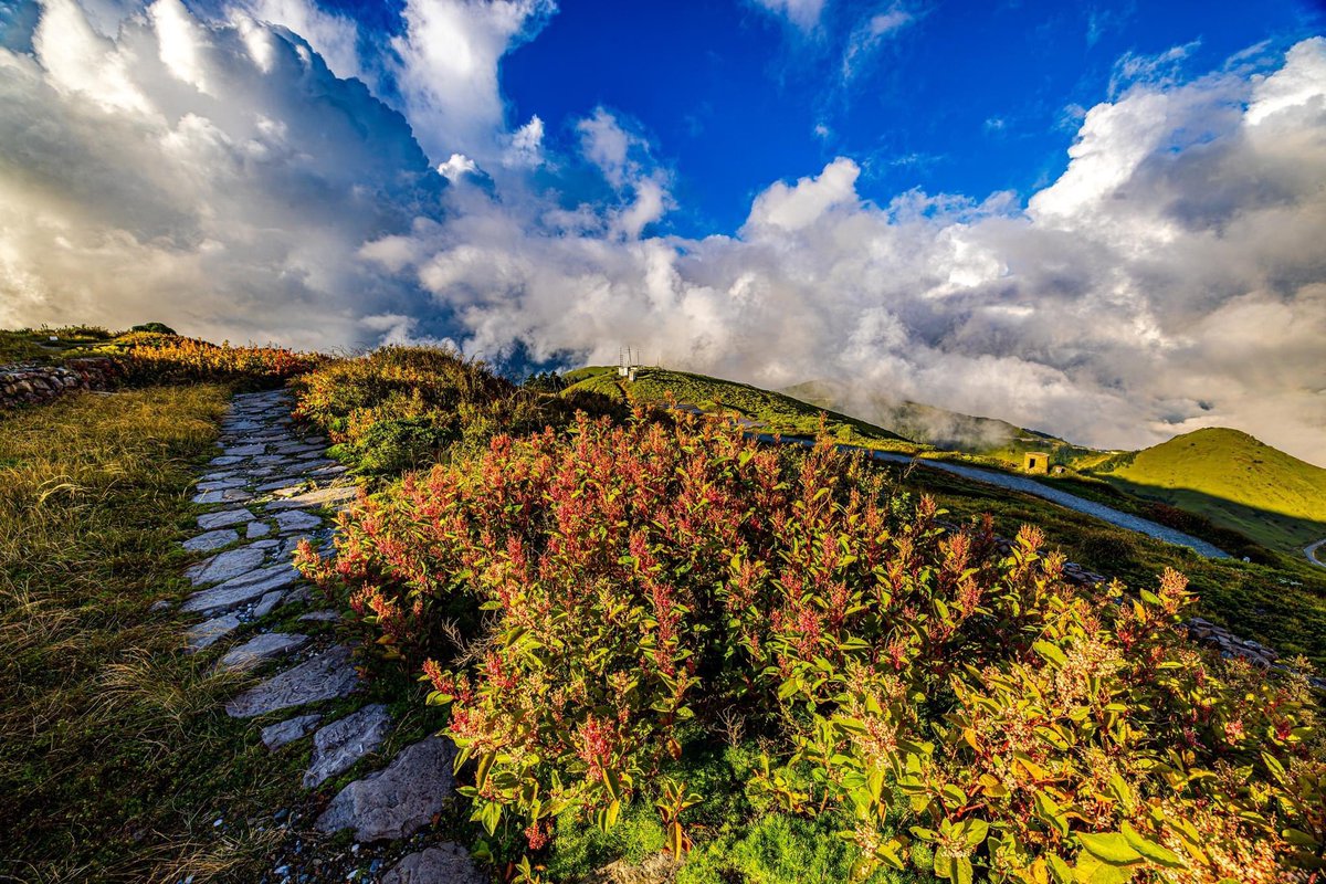 Conscience is an inherent gift, and everyone possesses an inner sense that guides all things.
- Dr. Hong, Tao-Tze, President of Federation of World Peace and Love
youtu.be/YsdP-I6xehQ