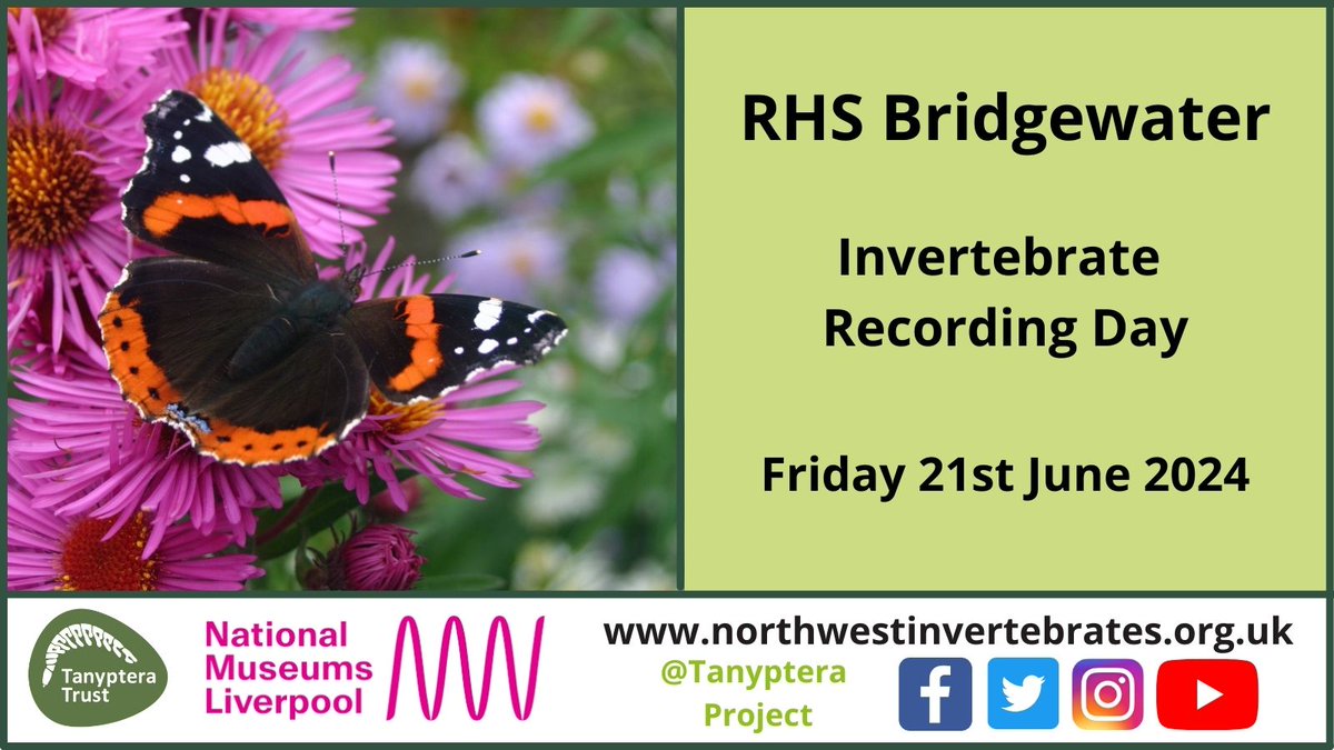 Tanyptera Project tweet media