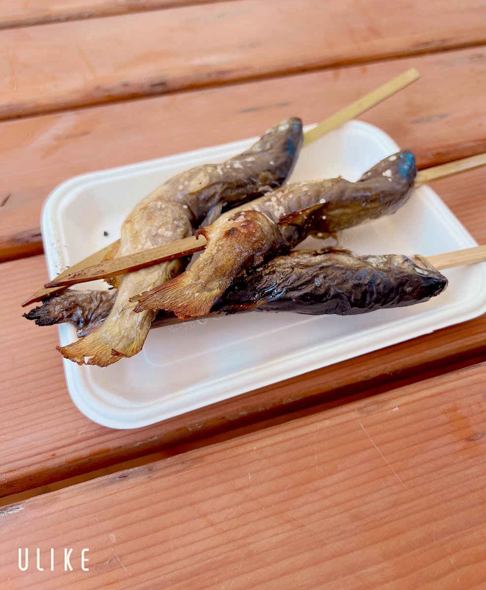 イワナの塩焼きは美味しい😋
見つけた瞬間に飛びついた🤣
その場で焼いて食べる魚は最高でした👍