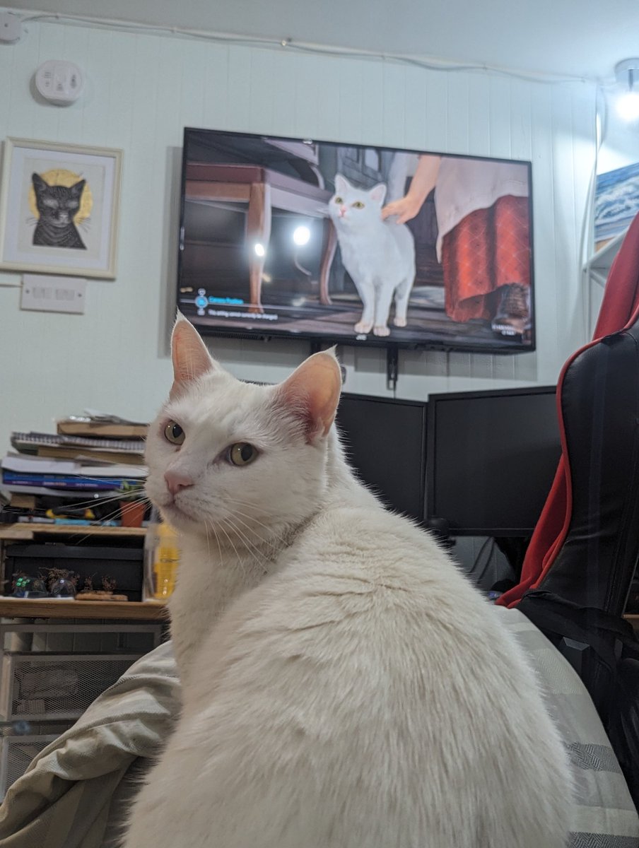 Chandraken's tweet photo. "Mummy I am on the TV" https://t.co/u9jwkUmGG4