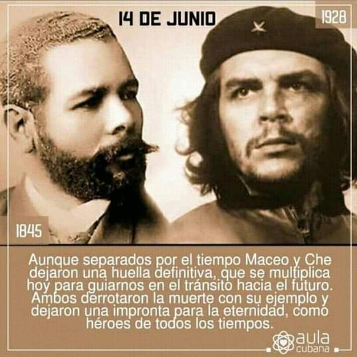 𝓐𝓵𝓮𝓪𝓷𝓭𝓻𝓸 tweet media