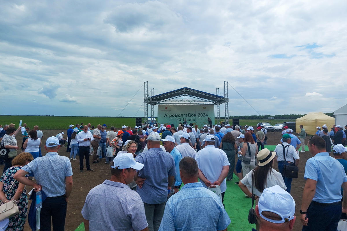 Гомсельмаш tweet media