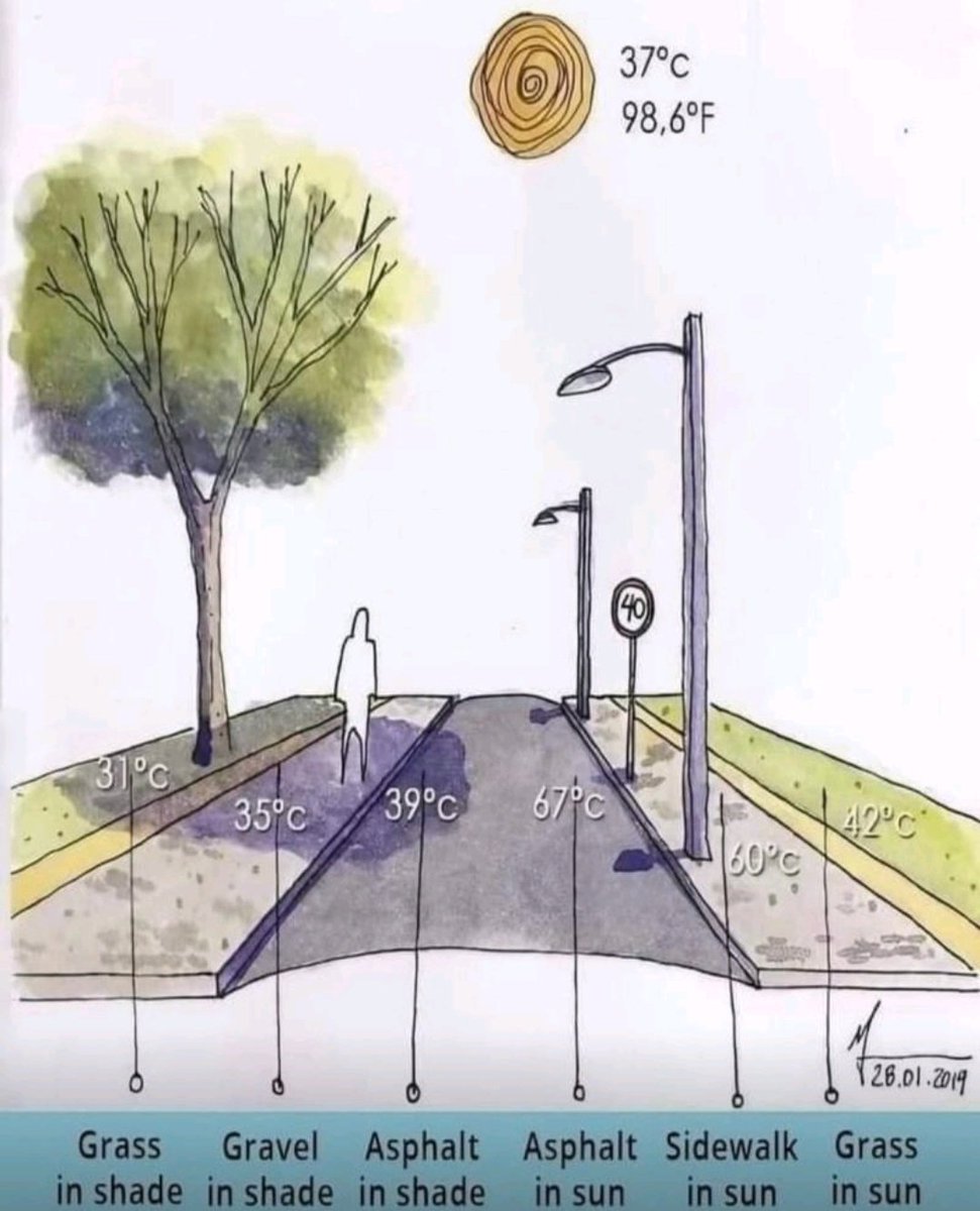 حرارة الطقس مصيرها تزيد ومش حتنقص وهذا الواقع، لذلك لا بد من التكيّف مع الظروف الجديدة.

في الصورة تذكير لأهمية التعشيب و الظلال في وسط الشوارع، و زيد عليهن محطات جلوس مظللة، و محطات مياه باردة مجّانية ( حاجة مش صعبة للشركات المحلية 😁 ) 

كل صيف و انتوا طيبين