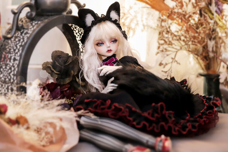 【DOLK×Peak’s Woods】✨ドル沼CHレビュー記念✨

猫の女王へと変身したV. Tristanが10体限定の復刻です♪

➡dolk.jp/pages/special/…

人気アーティストDUYA氏の限定メイクと
Code Nameによるドレスを動画で紹介しています。

みるもの全てを魅了する圧巻の美貌をお見逃しなく。