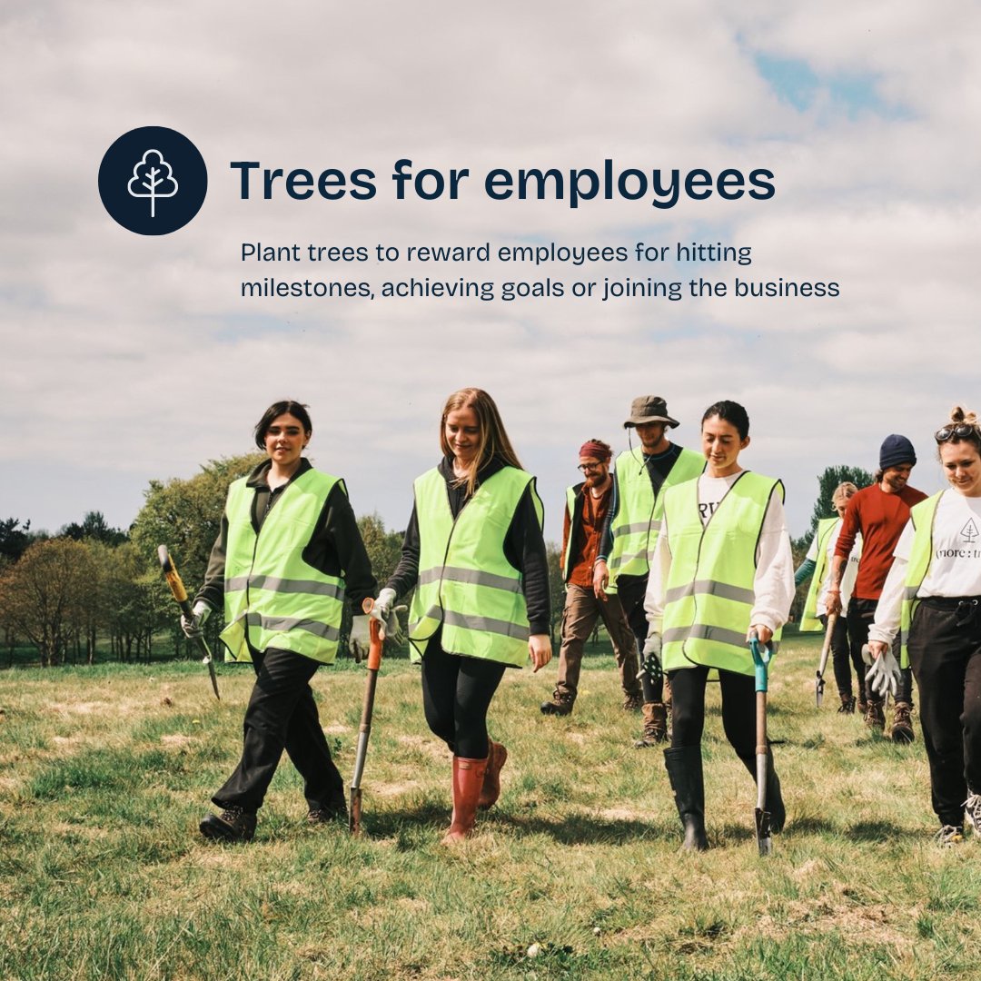 Trees for Employees, Rewarding Success with Nature 🌳 
Our "Trees for Employees" initiative plants trees to honour your team's accomplishments, adding a sustainable twist to recognition. Each tree symbolises growth, commitment, and a greener future. Let's grow together!