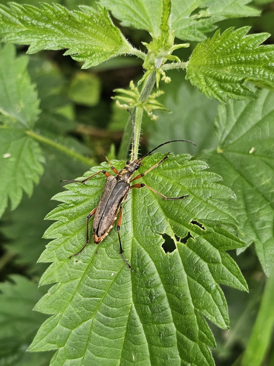 Jules Howard tweet media