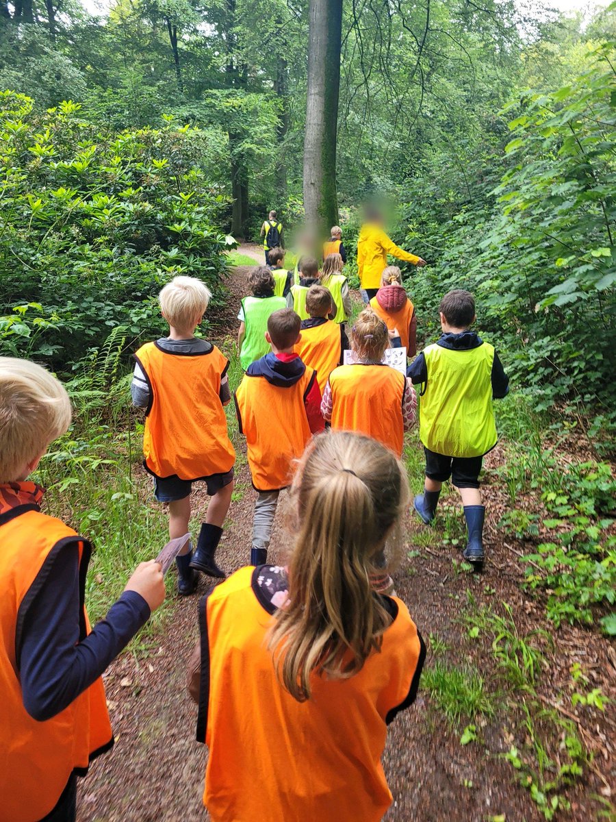 Vanochtend is groep 3/4 naar het bos geweest. Met behulp van een zoekkaart gingen zij op zoek naar verschillende vogels en planten. 
#jeelo #jeeloschool #omgaanmetdenatuur #bermenensloten