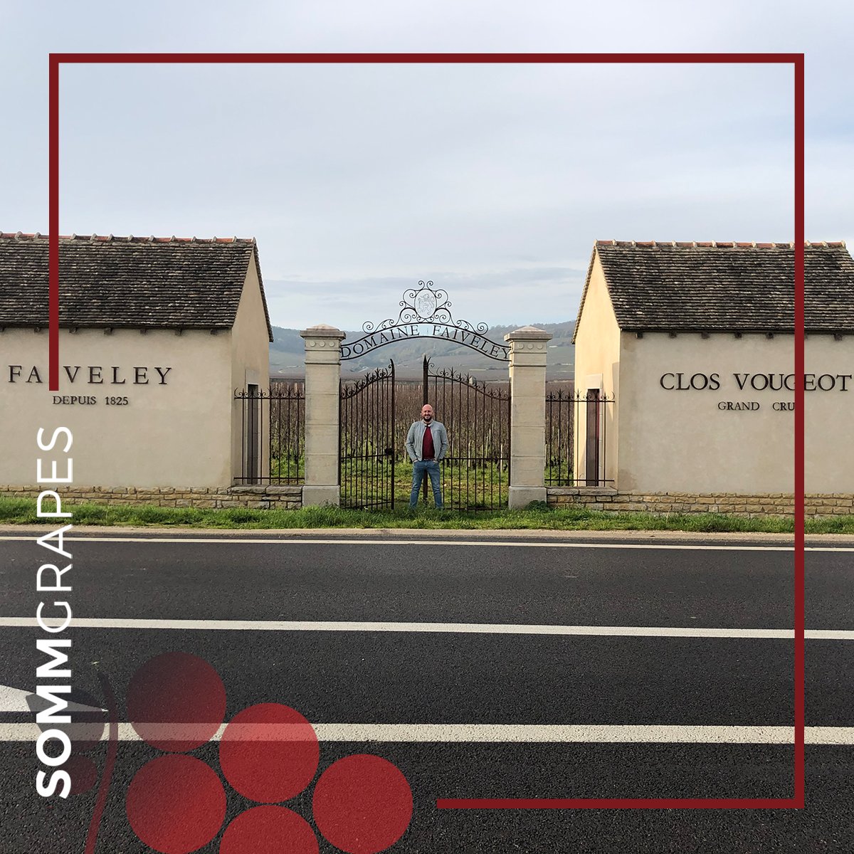 SommGrapes's tweet photo. Clos de Vougeot, a 51ha Grand cru plot in the city of Vougeot.
Located between Morey st Denis (N), Chambolle Musigny (W) and Echezeaux (S). https://t.co/yjKCqmQPpx