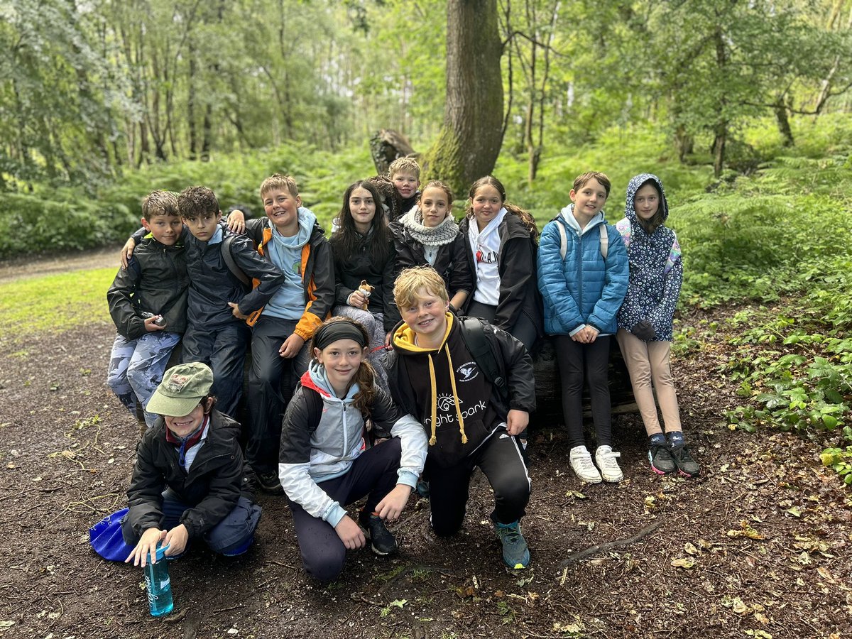 BPSYearSix tweet media