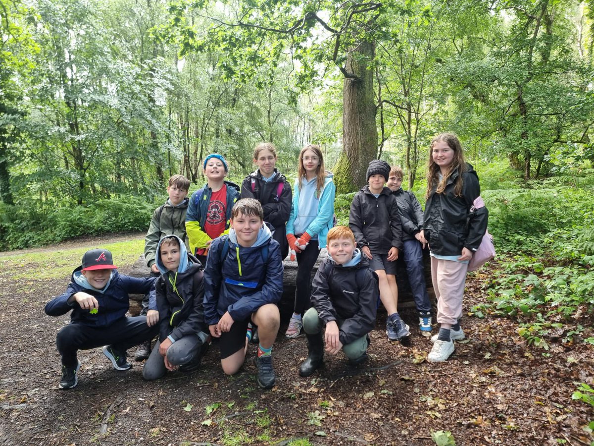 BPSYearSix tweet media