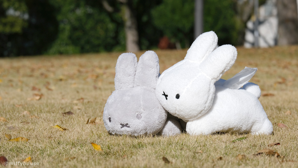 起きて。
もう6月はんぶん終わったよ？
 miffyhouse.co.jp/shopbrand/ct91/