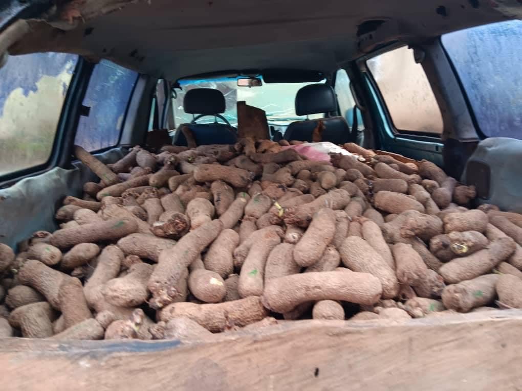 Riddwane's tweet image. NEWS FLASH!!!
Labour Party federal lawmaker representing Isiala Ngwa South/Isiala Ngwa North of Abia State, Hon. Ginger Onwusibe, empowers constituents with cassava stems, yams, maize and cucumber to mark one year in office.
      — Sahara Reporters
