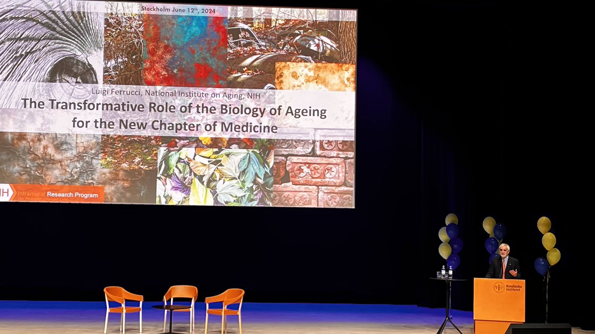 Paola Zaninotto (@pzaninotto) on Twitter photo Absolutely delighted to listen to Luigi Ferrucci <a href="/Ferruccilu/">Luigi Ferrucci</a> at the Nordic Congress of Gerontology! His insights are always inspiring and invaluable. One of my favourite speakers! #nkg2024 #Gerontology Absolutely delighted to listen to Luigi Ferrucci <a href="/Ferruccilu/">Luigi Ferrucci</a> at the Nordic Congress of Gerontology! His insights are always inspiring and invaluable. One of my favourite speakers! #nkg2024 #Gerontology