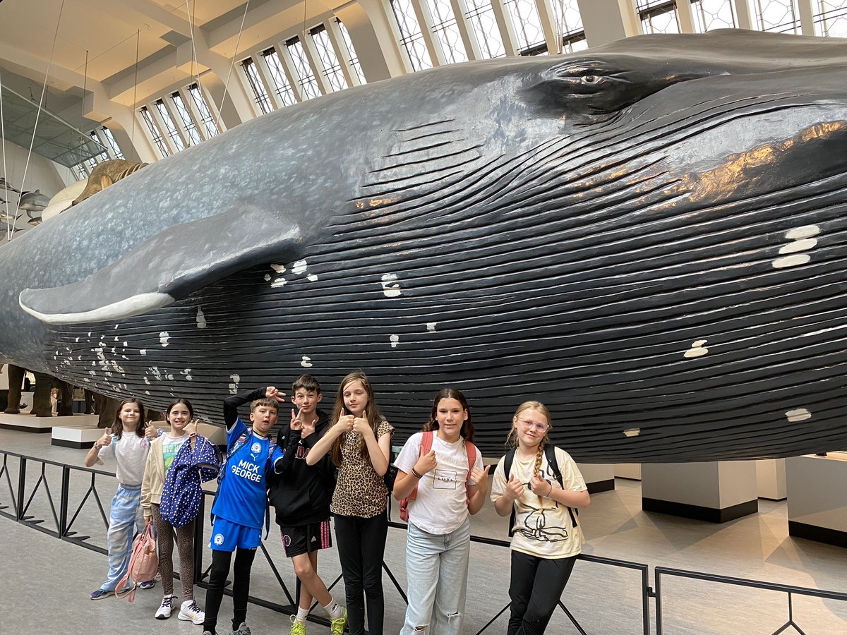 OWPSsharks tweet media