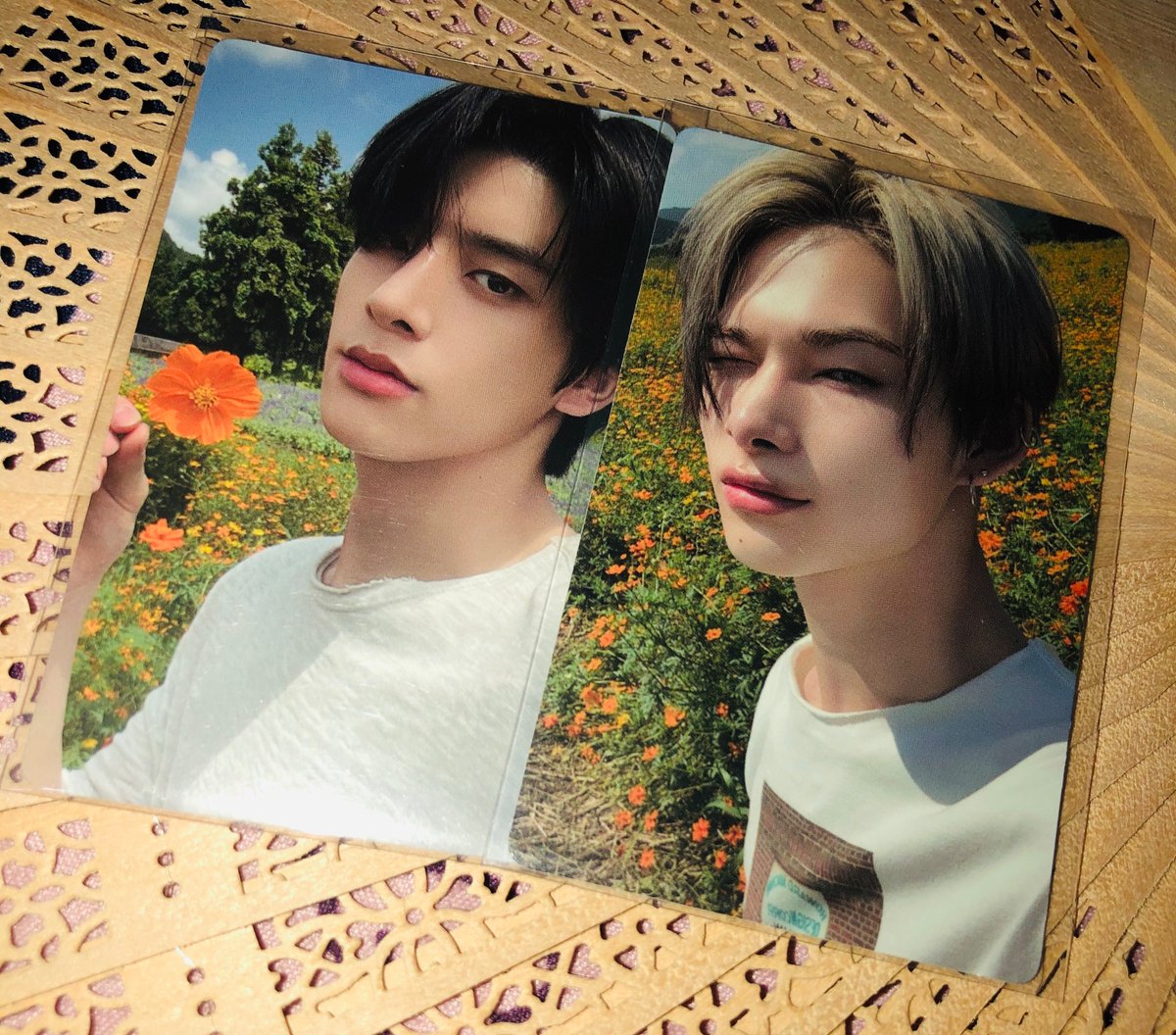 sooyacartz's tweet photo. wts lfb ph! Father's Day sale ~
enha ob pcs jake &amp; ni-ki rpc 

100 payo
sco/direct j&amp;t 
mint condi

t. enhypen jay jake sunoo sunghoon heeseung ni-ki jungwon orange blood pcs https://t.co/vBPXTk8Zcy