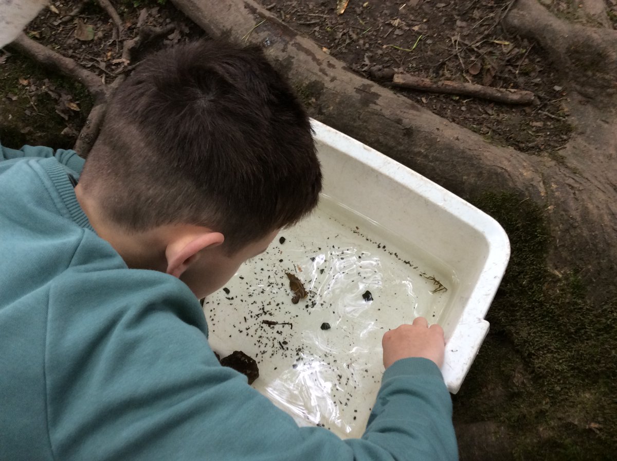 St Chad's Primary Sc (@stchadsprimsch) on Twitter photo 