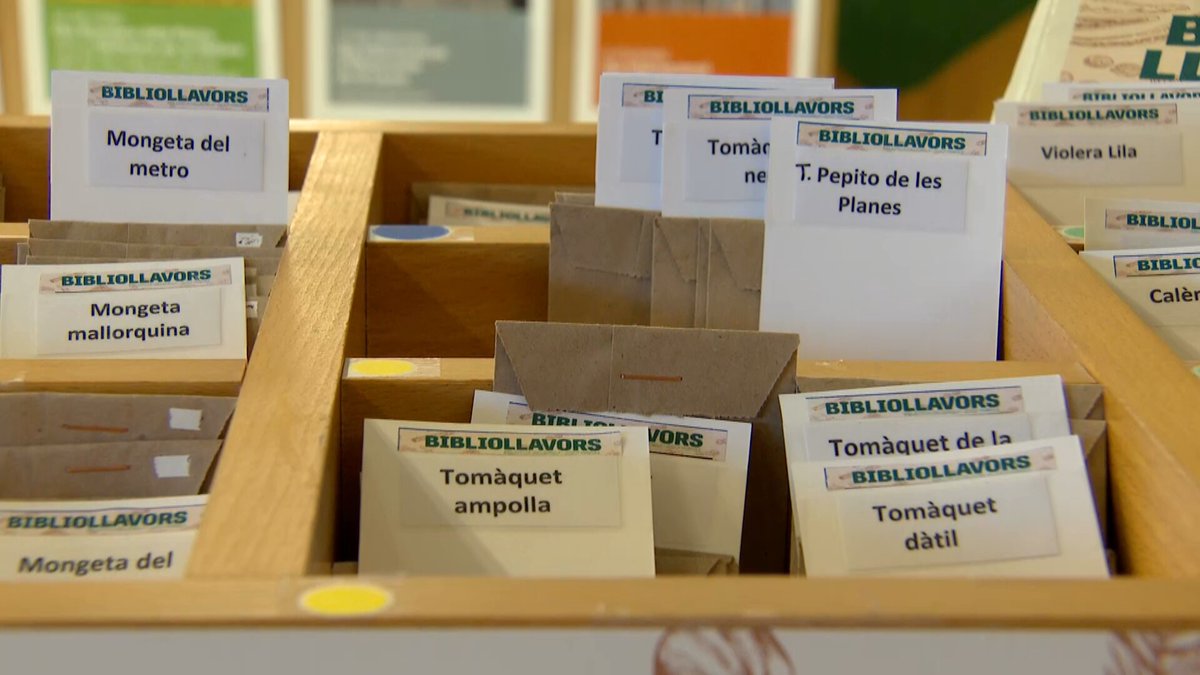 Del tomàquet mandó al julivert de Gràcia: una biblioteca de Barcelona també presta llavors ccma.cat/324/del-tomaqu…
