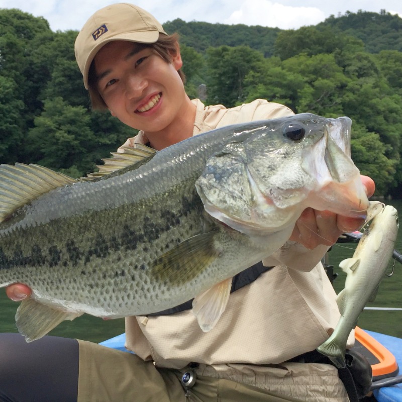 fishingvision's tweet photo. ＼\ #釣りビジョンVOD 特集 /／

⛅梅雨こそバスの最盛期☔
スタッフ激推し梅雨バス攻略傑作選‼
☞https://t.co/XjjVeSZv4U

定番のトップ＆虫系はもちろん、圧巻のスイムベイト爆釣劇も！

トッププロの梅雨バス攻略 全1⃣5⃣番組！
14日間の無料体験ですぐにご覧頂けます💁‍♂️

#バス釣り
